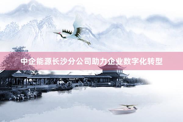 中企能源长沙分公司助力企业数字化转型