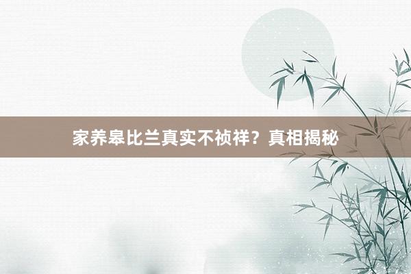 家养皋比兰真实不祯祥？真相揭秘