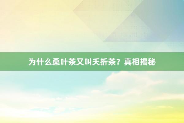 为什么桑叶茶又叫夭折茶？真相揭秘