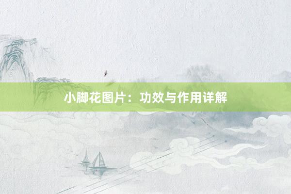小脚花图片：功效与作用详解